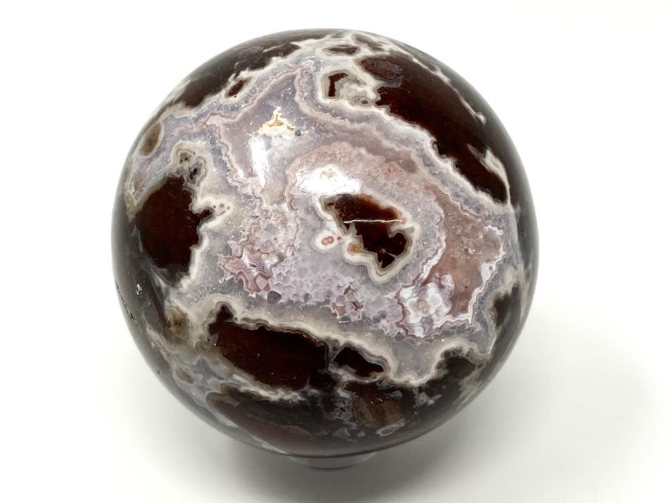 Buy Fossilised Wood Online