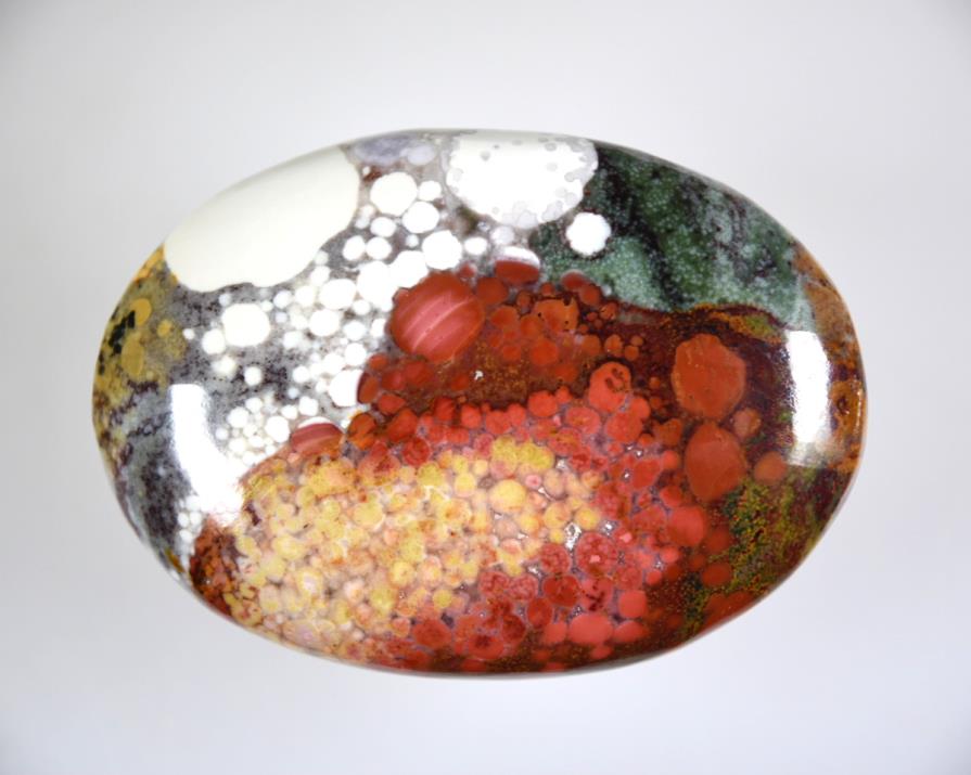 Buy King Cobra Jasper Online