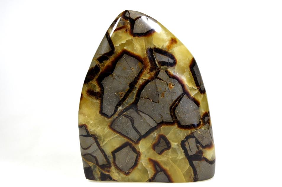 Buy Yellow Septarian Online