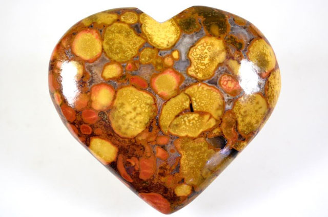 King Cobra Orbicular Jasper Heart