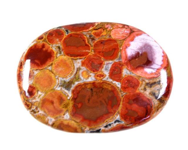 King Cobra Orbicular Jasper Pebble