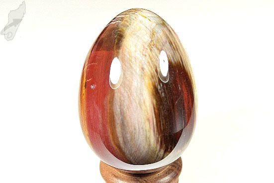 Fossil Wood Egg