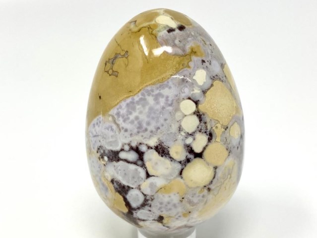 King Cobra Jasper Egg