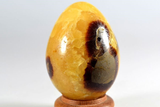 yellow septarian egg